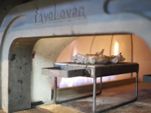 窯GRANDEで焼く鶏肉